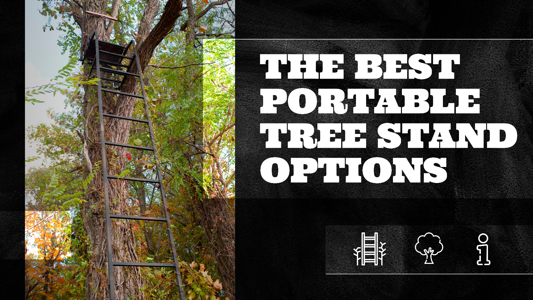 The Best Portable Tree Stand Options – The Bearded Butchers
