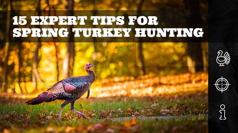 15 Expert Tips for Spring Turkey Hunting