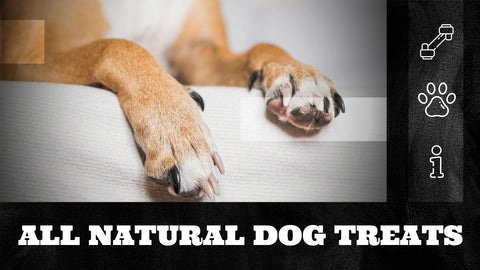 All Natural Dog Treats