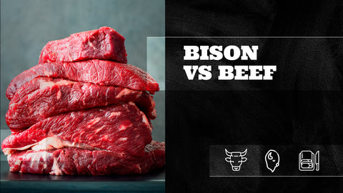 Bison vs Beef