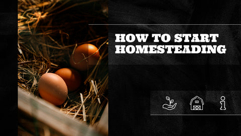 How to Start Homesteading