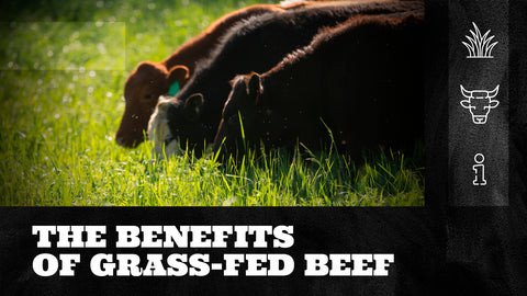 The Benefits of Grass-Fed Beef