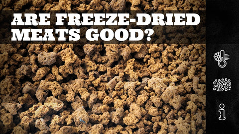 Are Freeze-Dried Meats Good?
