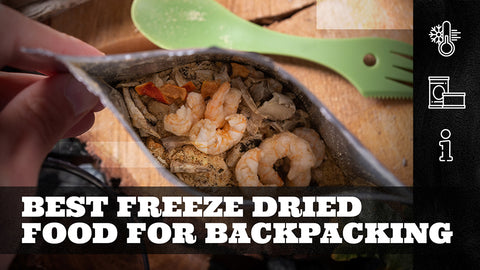 Best Freeze Dried Food for Backpacking