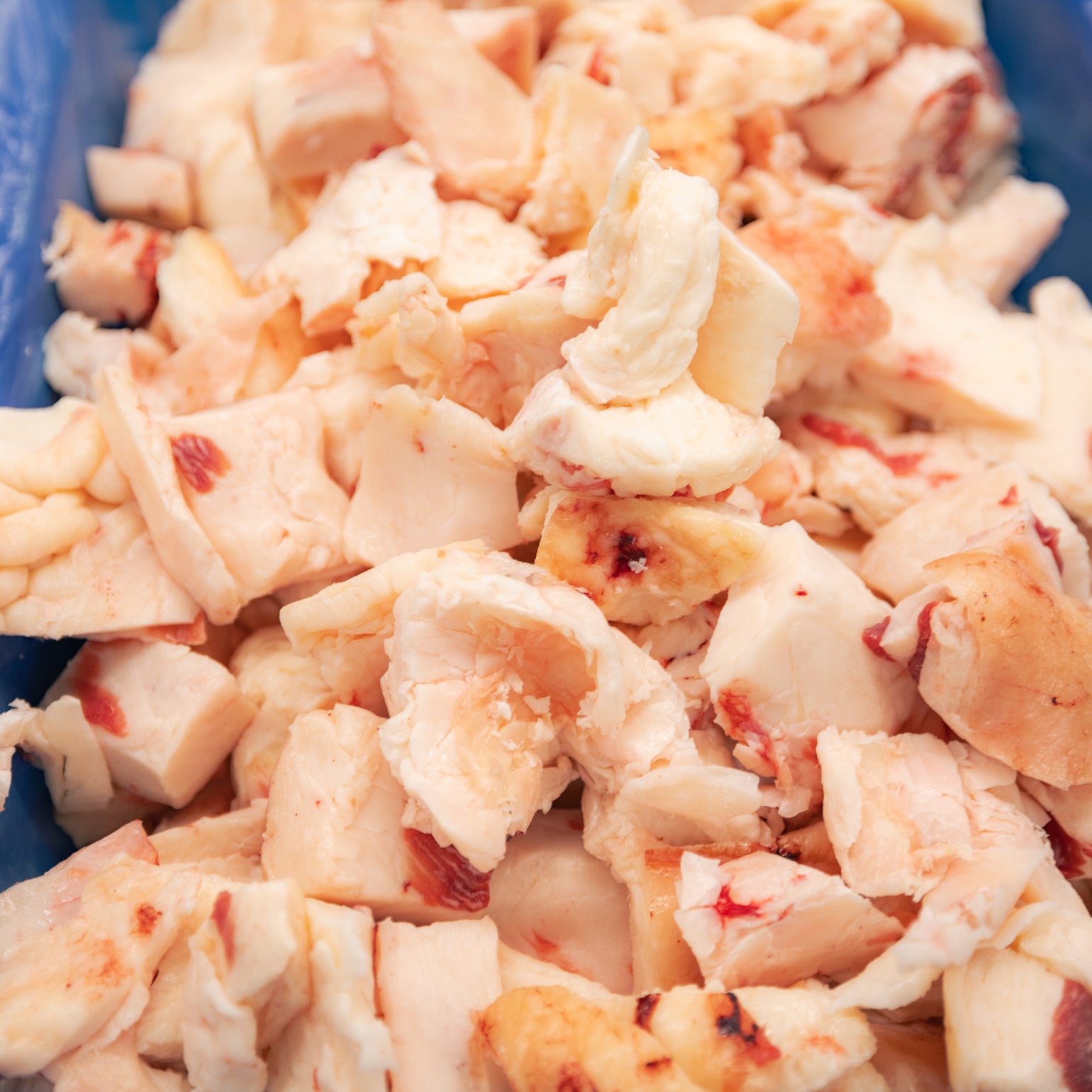 American Tajima Wagyu Beef Fat Trimmings 2.5 The Bearded Butchers