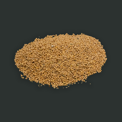 Dried Whole Mustard Seed 1.5oz