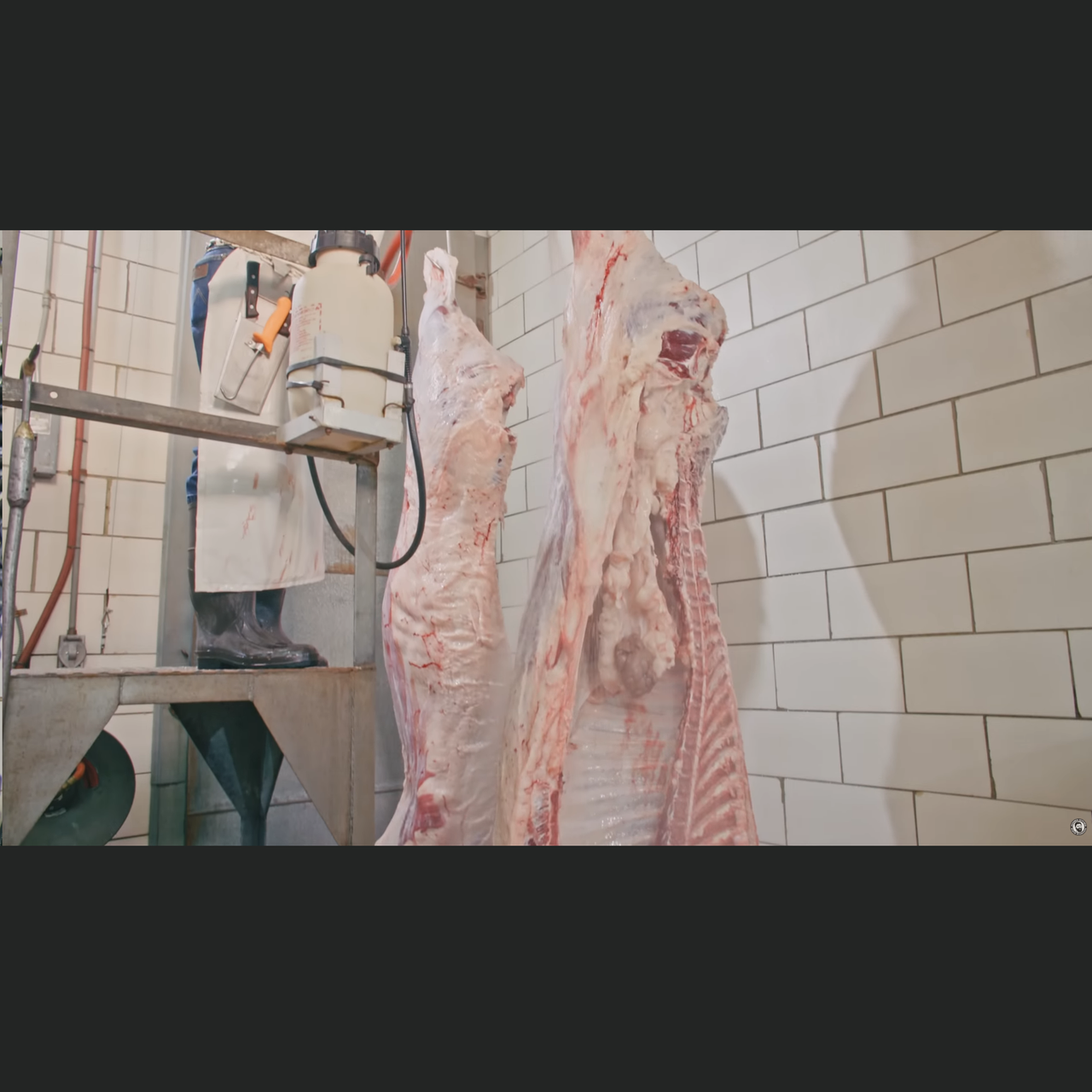 Detailed Slaughter Step by Step Guide to Commercial Beef Slaughtering – Full Video Course ...