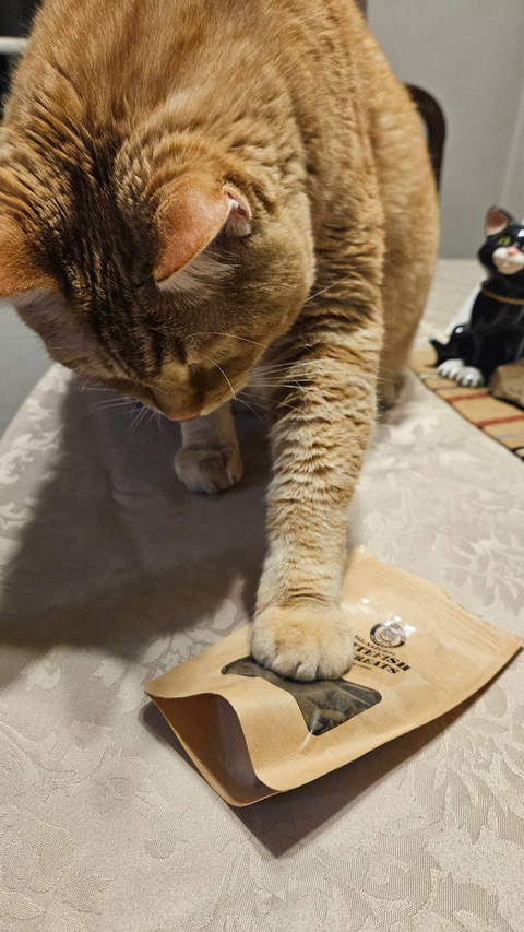 Cat Treats - Whitefish 2 oz