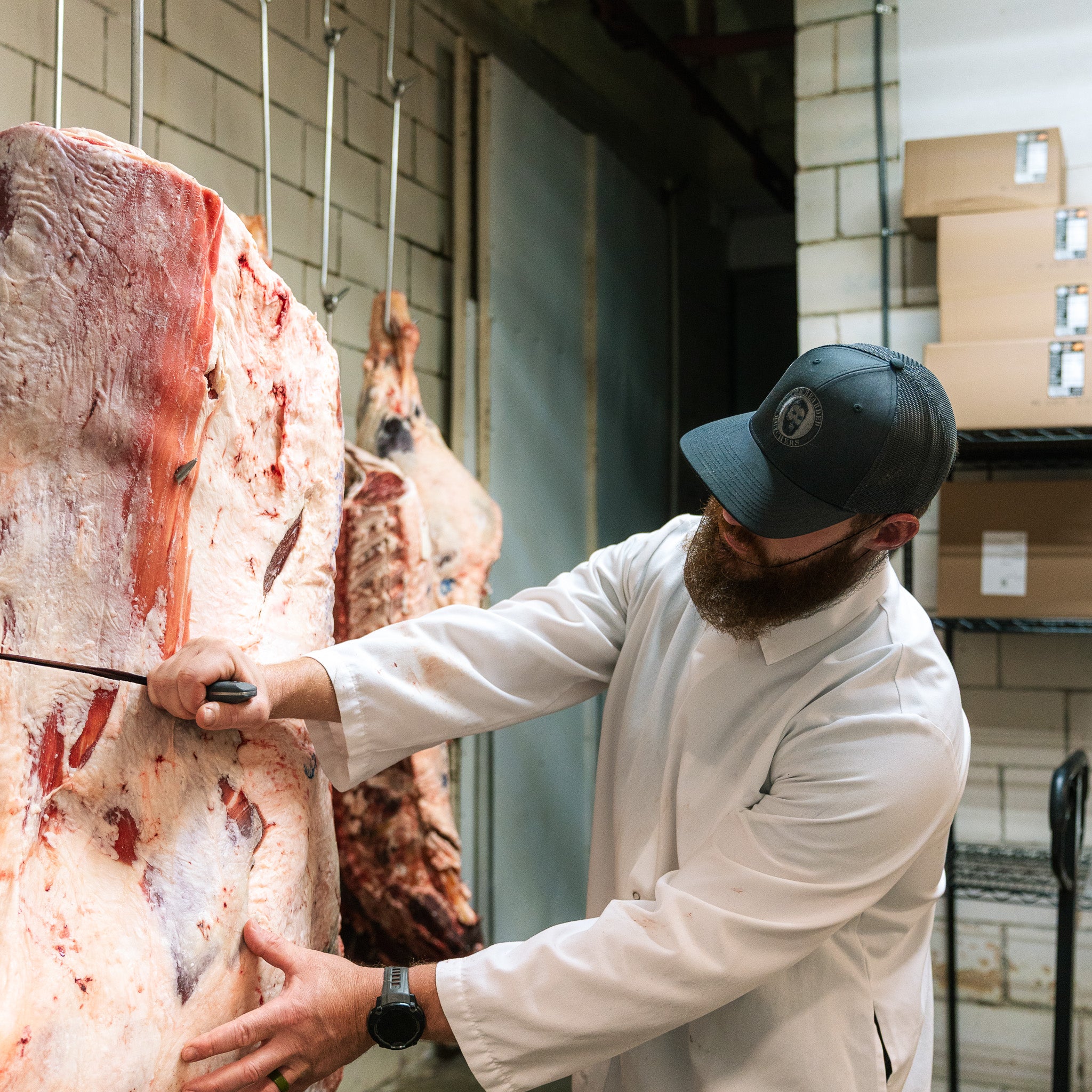 Carnivore Snap-Back Trucker Hat - Richardson 112 – The Bearded